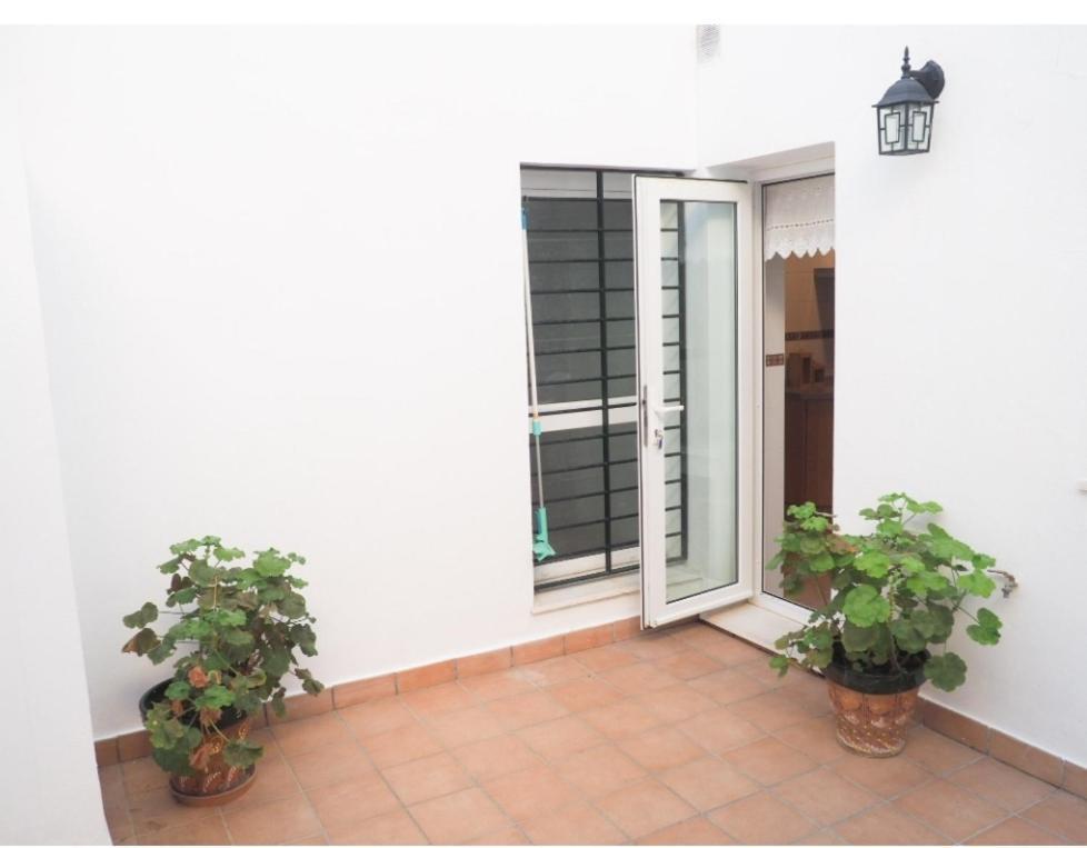 Conilplus Apartment Castilnovo Conil De La Frontera Exteriör bild